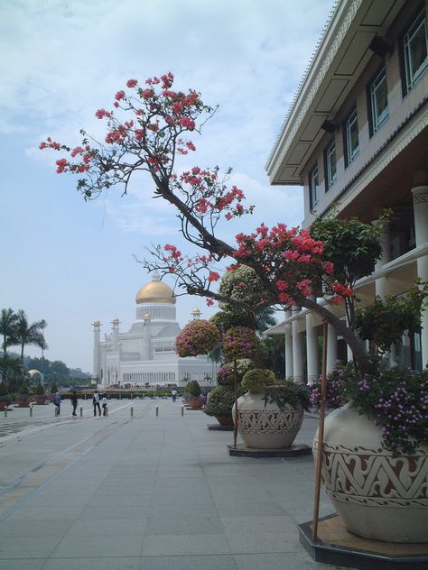 Mosque Brunei Brunei Aesthetic, Royal Brunei Airlines, Brunei Travel, Bandar Seri Begawan, Islamic Society, Asian Countries, Beautiful Mosques, Brunei Darussalam, Alam Yang Indah