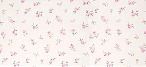 Pink, Flowers, Broccoli, Wall, White