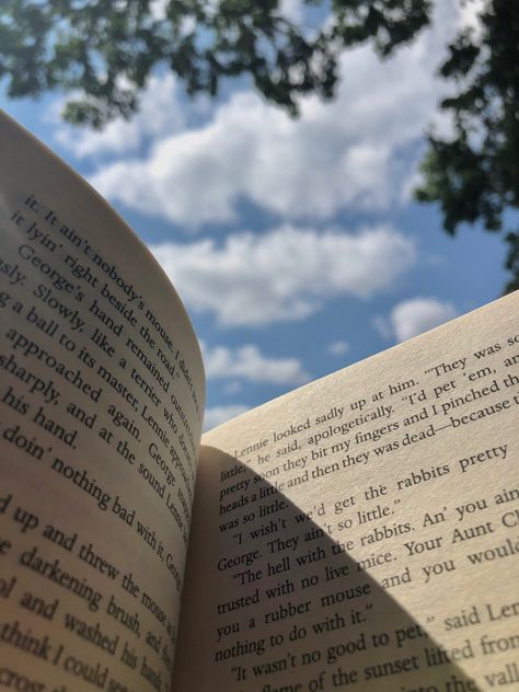 book sun picnic holiday aesthetic summer bucket list Pics For Dp, Book Wallpaper, Instagram Ideas Photography, Instagram Photo Inspiration, Book Images, Aesthetic Images, I Love Books, Book Photography, Book Aesthetic