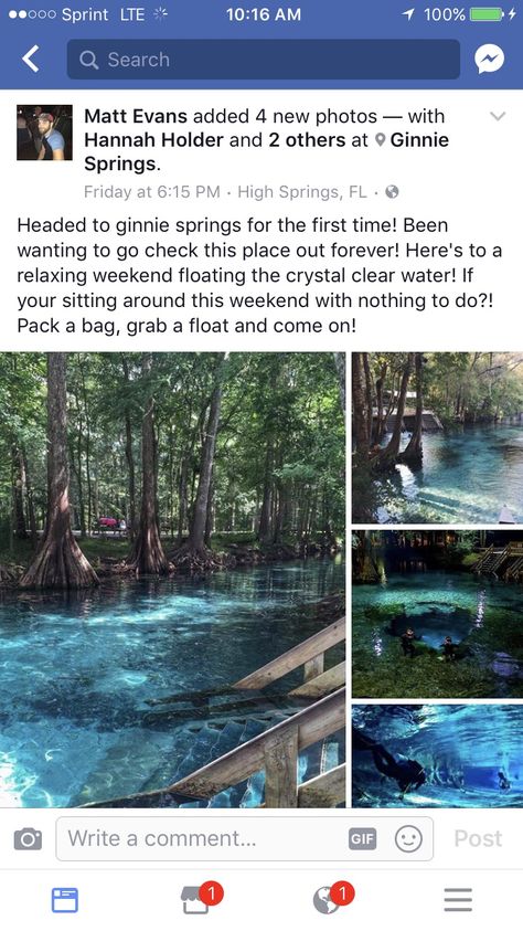 Holiday Places, Ginnie Springs Florida, Ginnie Springs, Springs Florida, Dream Travel Destinations, To Infinity And Beyond, Future Travel, Alam Semula Jadi, Vacation Places