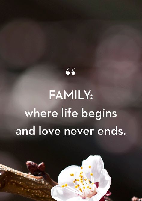 Dinner Quotes Family, Family Where Life Begins Love Never Ends, Love Family Quotes Blessed, Family Quotes Blessed, Happy Family Aesthetic, Family Strength Quotes, Family Picture Quotes, Family Is Everything Quotes, Family Motivational Quotes