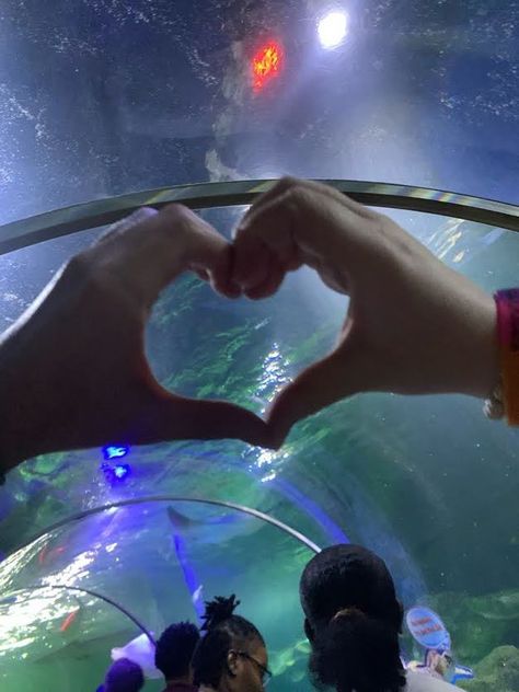 Aquarium Date Wlw, Things To Do With Your Girlfriend Wlw, Gf Activities, Dream Relationship, Dream Dates, She Left Me, Hand Heart, Selfie Inspo, Date Me