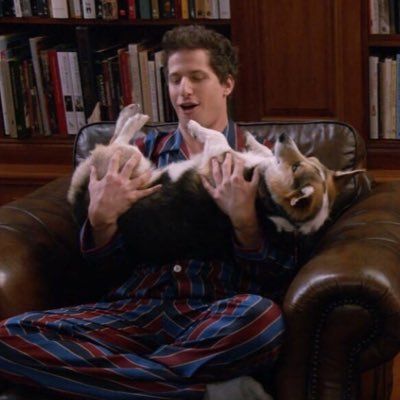 Jake Peralta, Out Of Context, Brooklyn Nine Nine, Brooklyn, On Twitter, Twitter