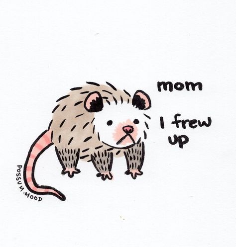 Opossum Tattoo, Awesome Possum, Easy Animal Drawings, Ship Drawing, Cute Rats, Trash Panda, Creature Drawings, Cute Animal Drawings Kawaii, Cool Wallpapers Art