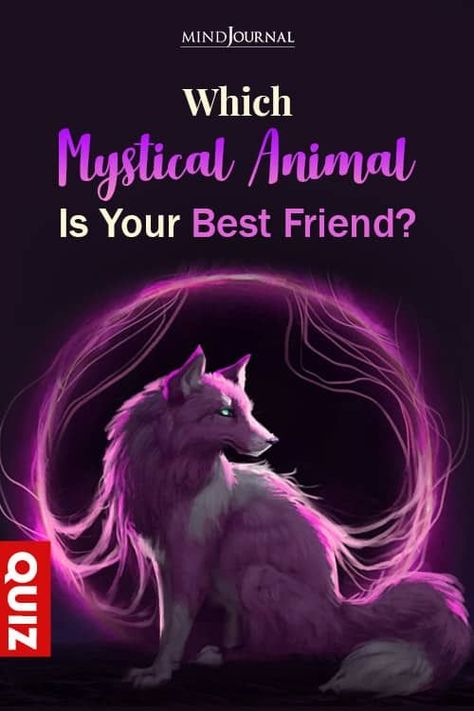 Do you love mystical creatures? Well, which animal is your best friend? Dragon, cat, wolf? Find out with this mystical animal quiz Mythical Animals Drawing, Ask Your Friends Which Animal You Are, Creature Oc Ideas, What Is My Spirit Animal, Spirit Animal Test, Mystical Creatures Mythology, Spirit Animal Quiz, Find Your Spirit Animal, Magical Animals