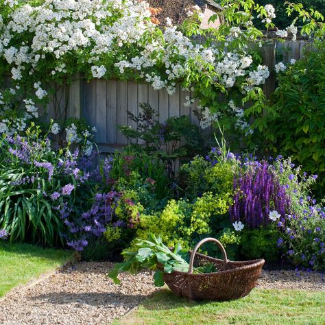 Garden edging ideas to give gardens the perfect finishing touch Common Flowers, Concrete Patios, Cottage Garden Plants, Cottage Garden Design, Garden Walkway, Bee Garden, English Country Gardens, Traditional Garden, Garden Pathway