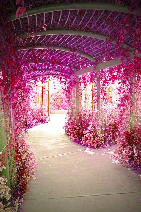 flower tunnel Patchwork, Backyard Flowers Garden, Backyard Flowers, Over The Garden Wall, Garden Pathway, Beautiful Castles, Exterior House, Incredible Places, Home Photo