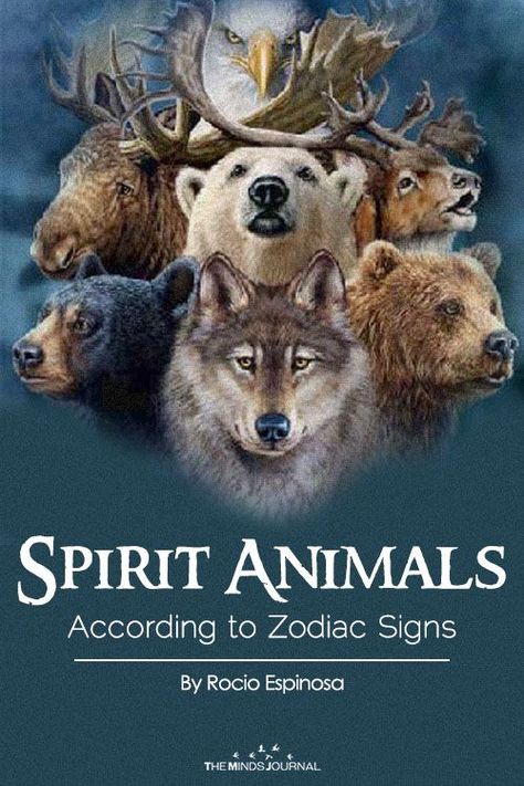 Spirit animals Zodiac Spirit Animals, Spirit Animal List, Spirit Animal Test, What's My Spirit Animal, Spirit Animal Tattoo, Spirit Animal Quiz, Whats Your Spirit Animal, Find Your Spirit Animal, Magical Stuff