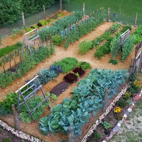 ​​﻿​﻿﻿11 Vegetable Garden Ideas | The Family Handyman Vegetable Garden Design, Secret Gardens, Kebun Herbal, Taman Diy, Garden Layout Vegetable, Have Inspiration, Veg Garden, The Secret Garden, Home Vegetable Garden