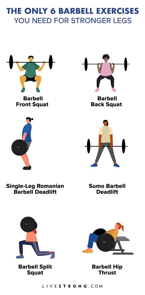 With barbell exercises like squats, deadlifts and hip thrusts, you'll strengthen your leg muscles, including your quads, hamstrings, calves and even glutes. Barbell Leg Exercises, Squats With Barbell, Barbell Workout For Women Glutes, Barbell Squats Women, Barbell Squat Workout, Squat With Barbell, Barbell Leg Workout, Barbell Workout For Women, Barbell Exercises