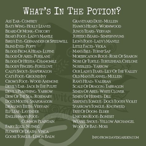 @awitchalone: “Continuing on from the post of old herb names!⁠ ⁠ While Eye of Newt isn't listed here, it's…” Herb Names, Witchy Herbs, Code Words, Eye Of Newt, Kitchen Witchery, Old Names, Witch Spell Book, Witch Spell, Herbal Magic