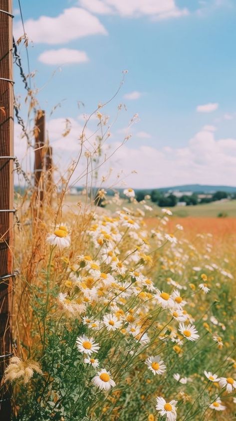 Summer wallpaper countryside grassland outdoors. | free image by rawpixel.com Vintage Countryside Aesthetic, Summer Country Aesthetic Wallpaper, Summer Flowers Background, Summer Landscape Aesthetic, Country Spring Wallpaper, Country Side Aesthetic Wallpaper, Camping Wallpaper Aesthetic, Countryside Wallpaper Iphone, June Wallpaper Iphone Backgrounds