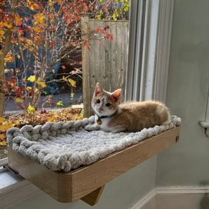 Cat Window Shelf, Cat Window Seat, Diy Cat Shelves, Cat Apartment, Cat Room Decor, Cat Window Bed, Cat Furniture Design, Diy Cat Bed, Cat Area