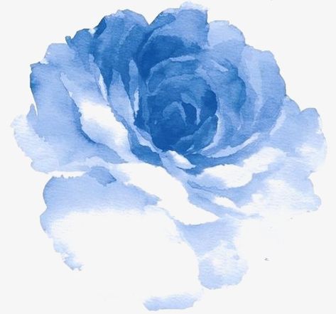 Illustration Blume, Blue Drawings, Watercolor Peonies, 수채화 그림, Lukisan Cat Air, Trendy Flowers, Watercolor Rose, Flower Illustration, Watercolor Design