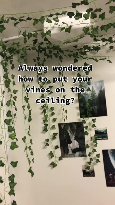 How To Put Up Fake Vines In Your Room, Places To Put Vines In Your Room, How To Put Vines In Room, Vines In A Room, Vines In Living Room Aesthetic, Hanging Vines Decor, Things To Do With Fake Vines, How To Hang Up Fairy Lights, How To Hang Leaves On Wall