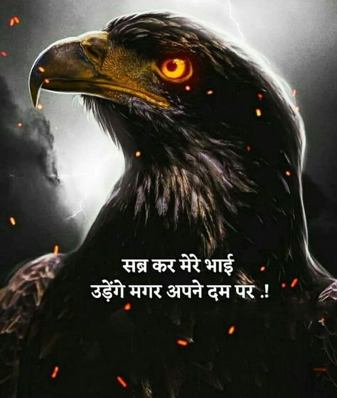Lion Attitude, Sigma Quotes, Maa Parvati, Motivational Quotes For Success Positivity, Motivational Video In Hindi, Motvational Quotes, Song Images, Success Pictures, Believe In Yourself Quotes