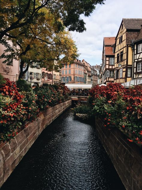 Alsace, Best Vacation Destinations, Europe Photography, Alsace France, Colmar, Travel Goals, Vacation Destinations, Wonderful Places, Travel Pictures