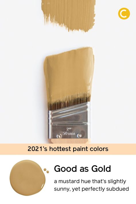 Mustard Color House Exterior, Mustard Color Paint, Gold Yellow Paint Wall Colors, Sw Birdseye Maple, Mustard Gold Paint Color, Vintage Gold Paint Color, Best Ochre Paint Colors, Best Mustard Yellow Paint Color, Gold Brown Paint Color