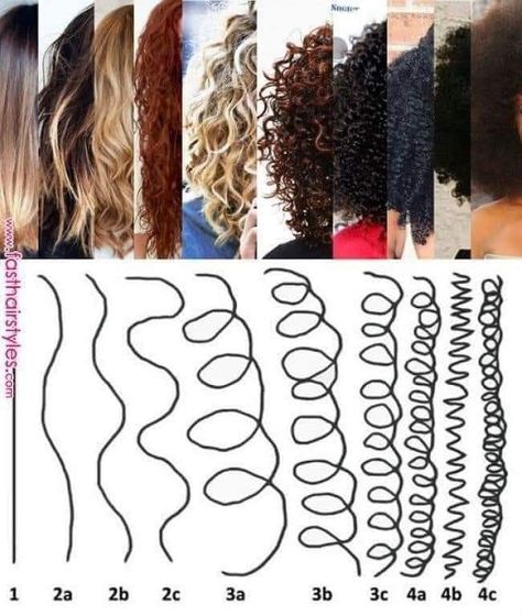 Which one are you?? Knowing your curl pattern can help you know the best way to bring life to those curls! I'm mostly 2c and 3a. Hair Type Chart, Natural Hair Types, Low Porosity Hair Products, Curly Hair Photos, Haircut Types, Curly Hair Types, Monat Hair, Curl Pattern, Curly Hair Routine