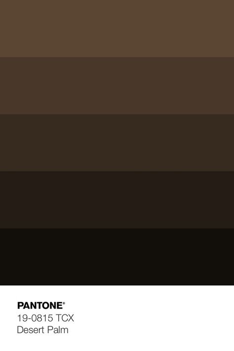 Dark Saturated Color Palette, Dark Colour Pallet, Rich Brown Color Palette, Dark Academia Colour Palette, Chocolate Colour Palette, Chocolate Brown Color Palette, Dark Brown Color Scheme, Colour Palette Brown, Dark Purple Color Scheme