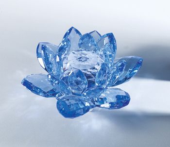 Crystal Lotus Pretty References, Snowman Crafts Preschool, Crystal Lotus, Crafts Preschool, Blue Lotus, Glass Artwork, Snowman Crafts, Interior Designing, Pretty Stuff