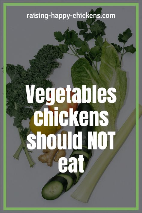 Did you know that there are vegetables chickens should NOT eat? Chickens can eat most vegetables but there are a few that are not safe for them to eat. And some veggies can actually hurt your chickens! Learn what vegetables to avoid feeding your flock and add to their diet the ones they benefit from and contribute to a healthy well balanced diet. You can even make special treats with these. Things Chickens Can Not Eat, Vegetables For Chickens To Eat, What Chickens Can Eat, Natural Chicken Feed, Chicken Feed Diy, What Can Chickens Eat, Pullets Chickens, Happy Chickens, Chickens 101