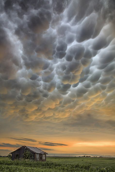 Storm Photography, Amazing Nature, Mammatus Clouds, Storm Chasing, Clouds Photography, Natural Phenomena, Sky And Clouds, Beautiful Sunset, Nature Photos