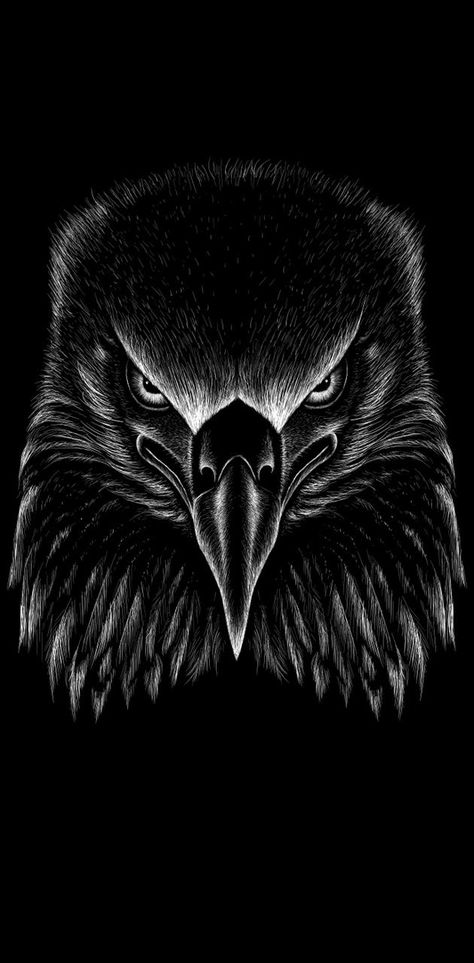 Vogel Silhouette, Adler Tattoo, Eagle Artwork, Eagle Drawing, Eagle Images, Android Wallpaper Dark, Tupac Pictures, Eagle Wallpaper, Lion Photography