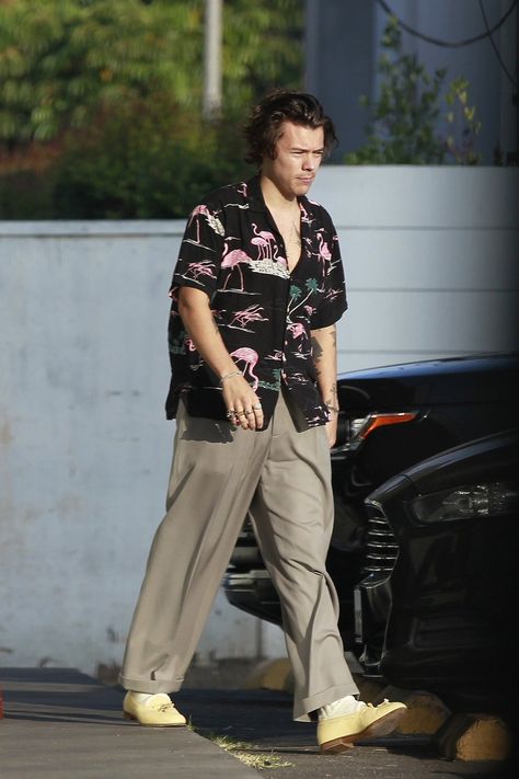Harry Styles Clothes, Harold Styles, Harry Styles Outfit, Victoria Secret Model, Mens Casual Outfits Summer, Old Money Style, Harry Styles Pictures, Louis And Harry, Model Aesthetic