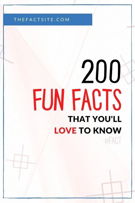 Random Fact Of The Day, Mind Blowing Facts Unbelievable Funny, Random Fun Facts Mind Blowing, Did You Know Facts Mind Blown, Weird Facts You Didnt Know, Weird Facts Random, Cool Fun Facts, 100 Random Facts, Weird Fun Facts