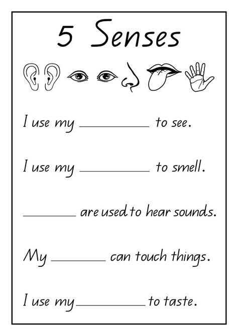 Activities for the Five Senses for Preschool | Learning Printable 5 Senses Worksheet, Grade R Worksheets, Aktiviti Prasekolah, Five Senses Worksheet, Worksheet Kindergarten, Worksheets For Class 1, English Worksheets For Kindergarten, Grammar For Kids, Kindergarten Reading Worksheets