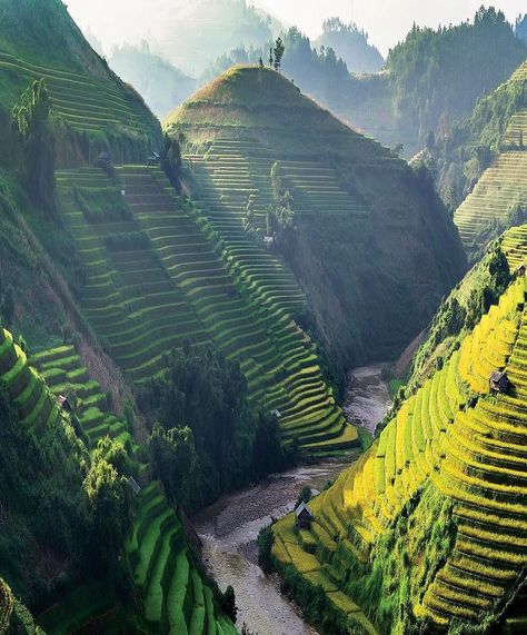 Discover Earth on Instagram: “The rice terraces in the Northwest region of Vietnam called Mu Cang Chai is something really special 😍🇻���🇳 Who would you discover Vietnam…” Timur Tengah, Vietnam Voyage, Matka Natura, Beautiful Places In The World, Vietnam Travel, Beautiful Places To Travel, Best Places To Travel, Beautiful Places To Visit, Pretty Places