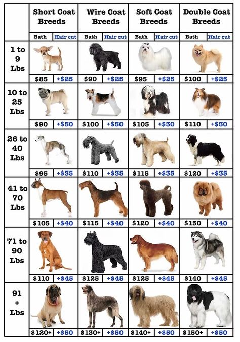 Dog Grooming Price List Template, Dog Grooming Prices, Dog Grooming Business Cards, Dog Grooming Van Ideas, Dog Grooming Rooms At Home, Dog Grooming Price List, Pet Grooming Salon Ideas Design, Dog Groomer Tattoo, Mobile Grooming Van