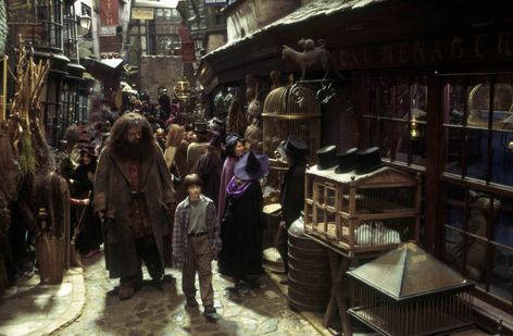 Ranked: The 7 most memorable Diagon Alley moments | Wizarding World Robbie Coltrane, Harry Potter Store, Harry Potter Diagon Alley, Rubeus Hagrid, Philosophers Stone, Images Harry Potter, The Sorcerer's Stone, Diagon Alley, Harry James Potter