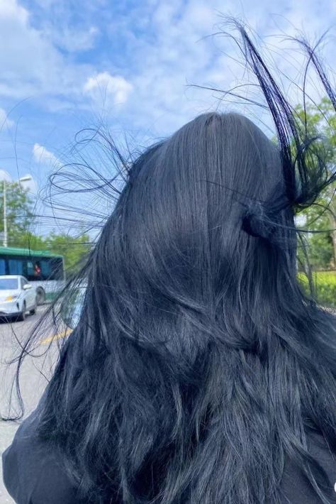 Subtle Blue Hair Brunette, Dark Blue Asian Hair, Dark Blue On Brown Hair, Blueberry Black Hair, Very Dark Blue Hair, Dark Ashy Blue Hair, Short Black Dyed Hair, Black Dark Blue Hair, Sapphire Black Hair