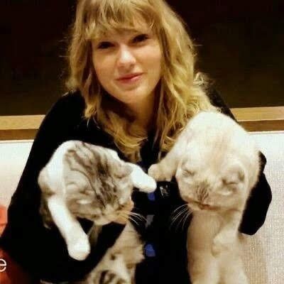 Swift, Taylor Swift, On Twitter, Twitter