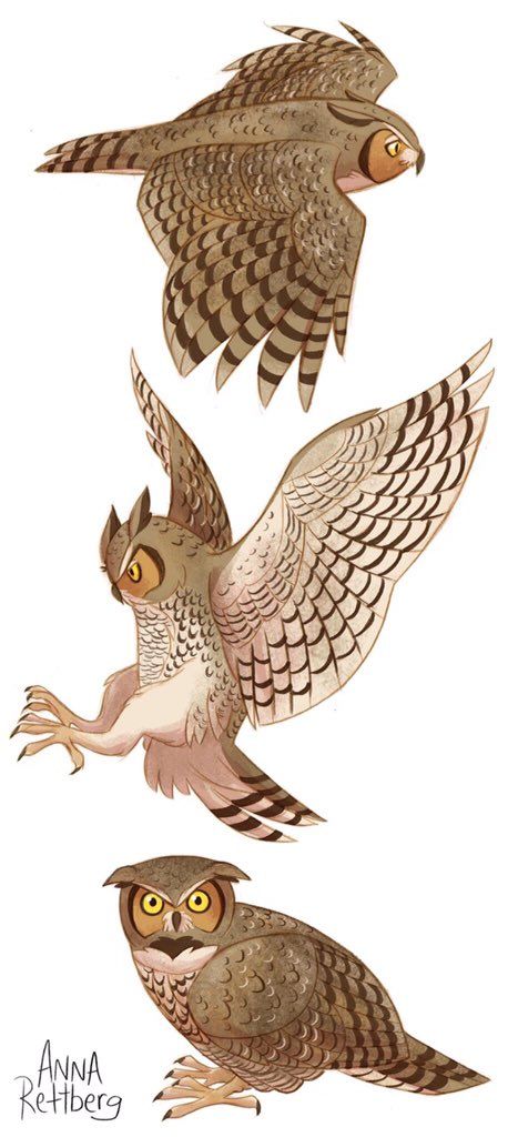 Owl Quilts, Desen Realist, Owl Illustration, Owl Cartoon, Owls Drawing, Arte Cyberpunk, Great Horned Owl, Horned Owl, Bird Artwork