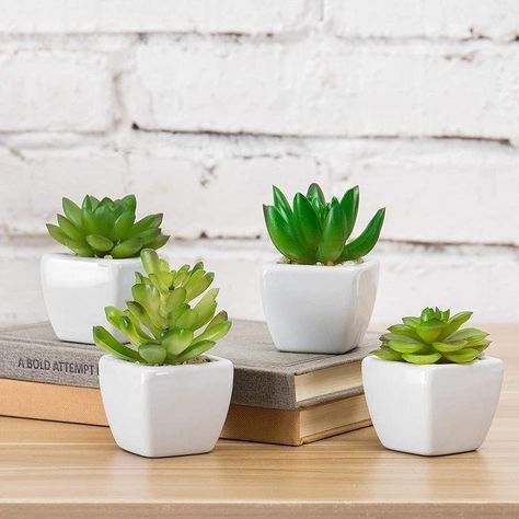 Small Table Plants Indoor, Cute Bedroom Plants, Small Plants For Bedroom, Plant Room Decor Bedroom, Plante Aesthetic, Plants For Room, Aesthetic Table Decor, Small Garden Oasis, Room Decor Plants