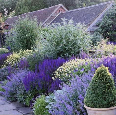 town place garden sussex england Flowers Garden, Cottage Garden Design, Purple Garden, Garden Architecture, Have Inspiration, Mediterranean Garden, Garden Borders, Country Gardening, Garden Cottage