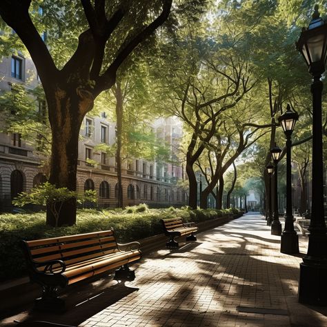 Stroll through an urban area where classic architecture meets tree-lined streets and inviting benches. The perfect fusion of nature and history within the heart of the city. Nature, Street Trees Urban, City Trees Street, Street Bench, Walkable Cities, City Builder, Tree Lined Street, Walkable Community, City Tree