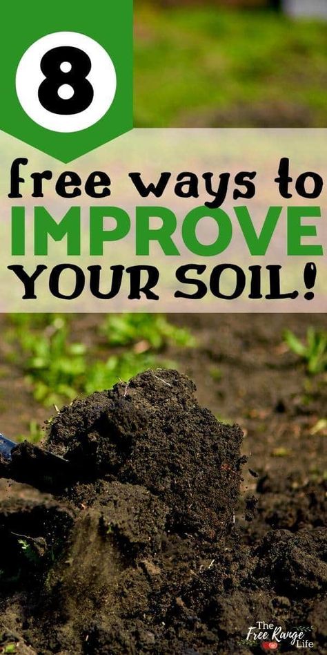 Compost Soil, Healing Remedies, Garden Compost, Garden Veggies, Banana Tree, Fall Garden, Healthy Garden, Home Vegetable Garden, Tree Care