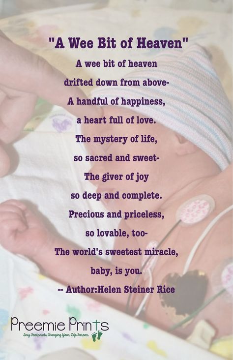 A Beautiful Baby Poem! New Baby Poem, Baby Prayers, Baby Poems, Baby Shower Quotes, Shower Quotes, Congratulations Quotes, Prayer For Baby, Preemies