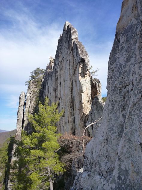 West Virginia, Rock Climbing, Seneca Rocks, West Virginia Travel, West Virginia Mountains, Virginia Travel, North America Travel, Hiking Trip, Mountaineering