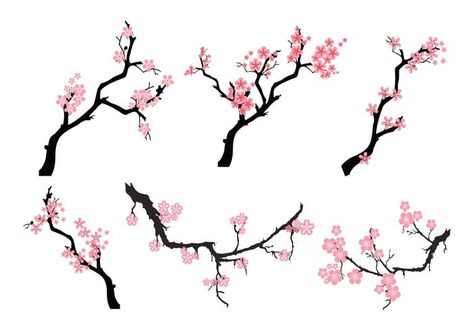 Peach Blossom Tree, Anime Cherry Blossom, Cherry Blossom Vector, Tree Branch Tattoo, Peach Tattoo, Flor Tattoo, Branch Drawing, Sakura Art, Branch Vector