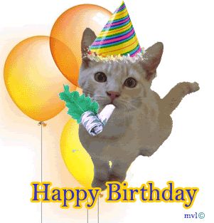 Happy Birthday Cat cat cupcake birthday happy birthday funny birthday birthday greeting birthday wishes birthday friend animated birthday birthday balloons Happy Birthday Animals Funny, Birthday Gif Images, Happy Birthday Emoji, Happy Birthday Gif Images, Birthday Images Funny, Happy Birthday Animals, Animated Cats, Funny Happy Birthday Images, Happy Birthday Cat