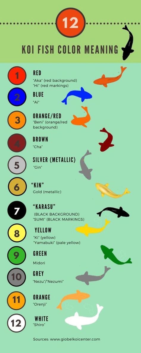 koi fish color meaning chart Koi Fish Color Meaning, Japanese Tattoo Color, Fish Tattoo Color, Koi Colors, Koi Fish Care, Color Meaning Chart, Pez Koi Tattoo, Koi Fish Tattoo Meaning, Koi Fish Colors