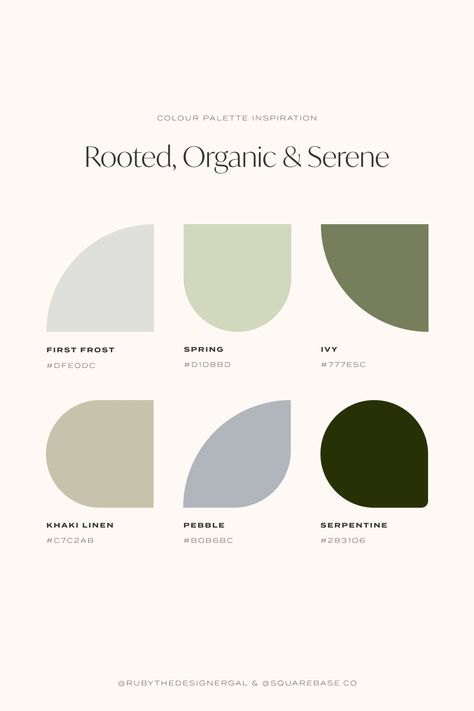 Rooted, organic, serene and nature-inspired colour palette for your Brand or Squarespace Website Colours For Website, Sustainable Website Design Inspiration, Website Color Palette Branding Colour Schemes Green, Website Color Combinations, Nature Inspired Website Design, Zen Colour Palette, Natural Green Color Palette, Green Website Color Palette, Light Earthy Color Palette