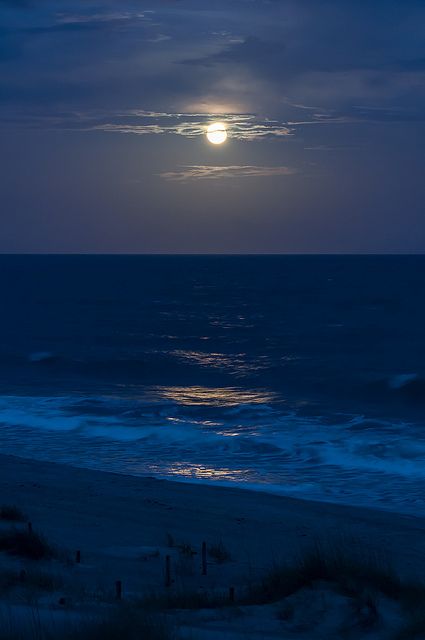 EI - Moonlit Shoreline by Christopher Lane Photography Ocean At Night, Matka Natura, Beach At Night, Fotografi Alam Semula Jadi, Night Scenery, Moon Photography, Pretty Sky, Alam Semula Jadi, Night Aesthetic