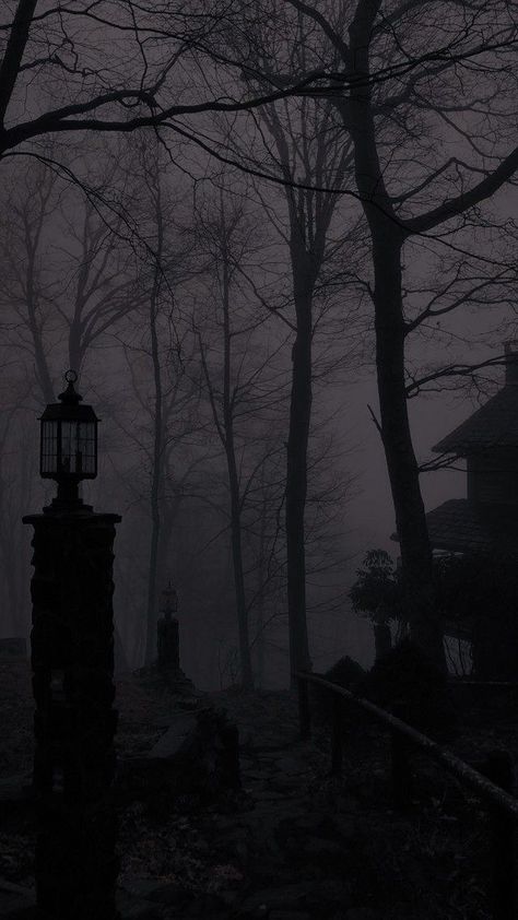 Dreamy Aesthetic Dark, Dark Victorian Aesthetic, Victorian Gothic Aesthetic, Goth Aesthetic Wallpaper, Gothic Background, Dark Academia Wallpaper, Dark Forest Aesthetic, Dark Landscape, Victorian Aesthetic