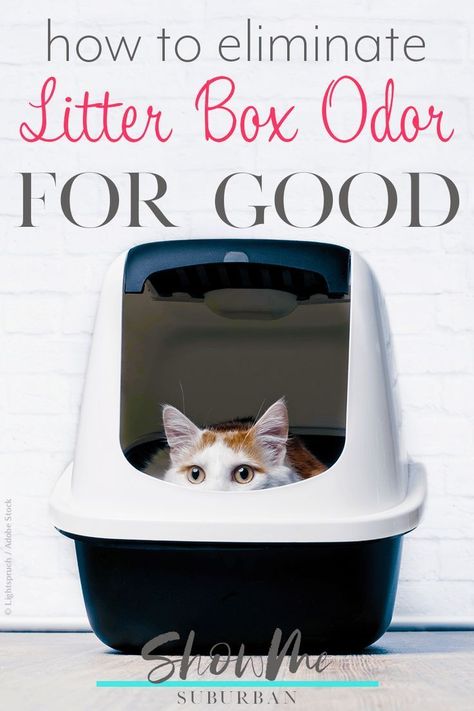 Multiple Cat Litter Box Ideas, Dog Proof Litter Box Ideas, Odor Eliminator Diy, Cat Odor Eliminator, Cat Litter Smell, Cat Liter, Litter Box Smell, Diy Litter Box, Best Litter Box